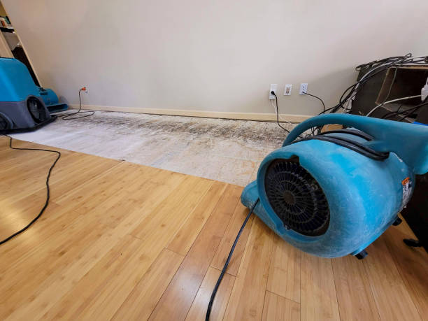 Professional Basement Flood Cleanup technician working in Three Lakes, WA